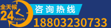 18803230733